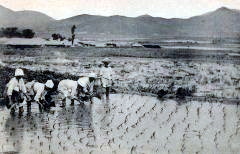 戦前の朝鮮の田園風景